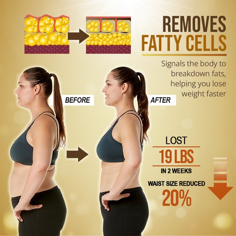 20220103-Belly_Drainage_Ginger_O